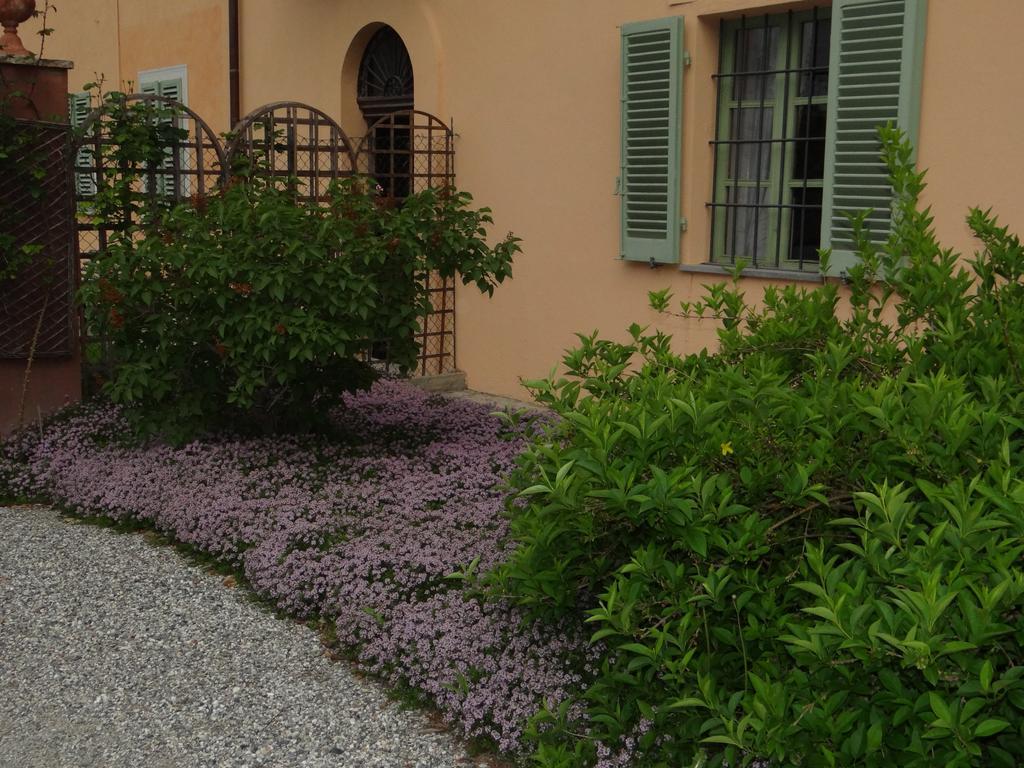 B&B Il Quadrifoglio Sciolze Kültér fotó